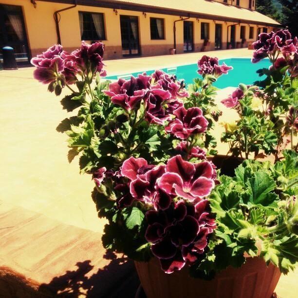 Del Riccio Hotel Martirano Kültér fotó